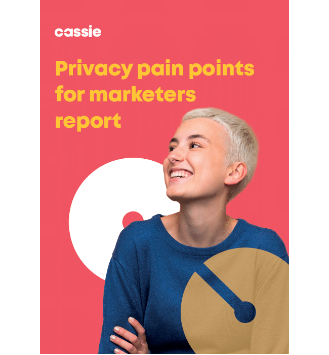 Privacy pain points for marketers research report