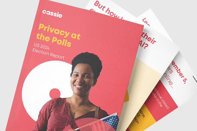 Privacy at polls US 2024 election report